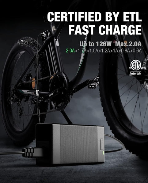 54.6V 2A Electric Bike Charger - Universal 5 Outputs - TRIPPER ELECTRIC BIKES