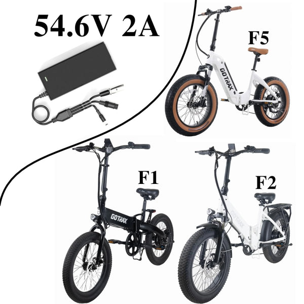 54.6V 2A Universal Electric Ebike Charger 3 Outputs - TRIPPER ELECTRIC BIKES