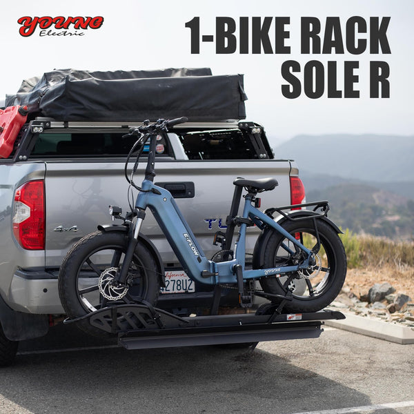 Young Electric 200 lbs Hitch - 2 Bike Rack.