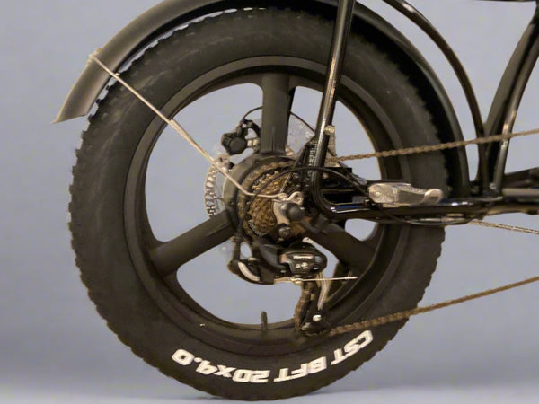 Tripper Falcon II Sport S - TRIPPER ELECTRIC BIKES