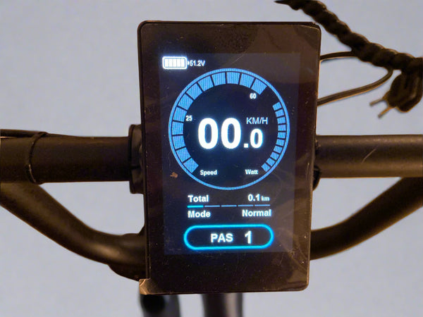 Tripper Falcon II Sport S - TRIPPER ELECTRIC BIKES
