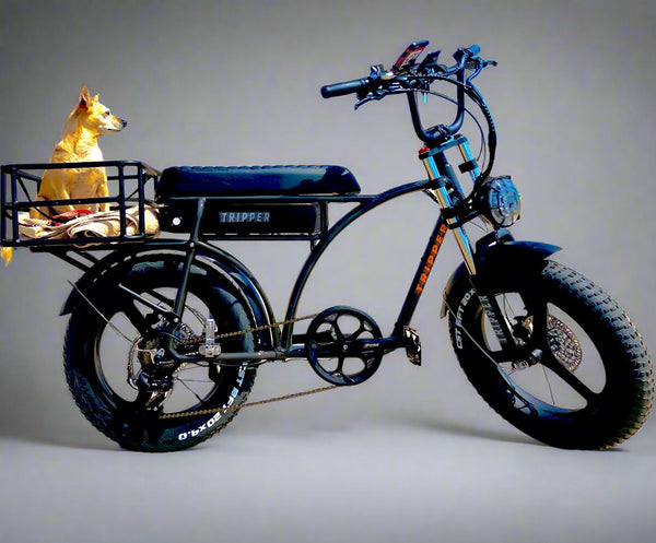 Tripper Falcon II Sport S - TRIPPER ELECTRIC BIKES