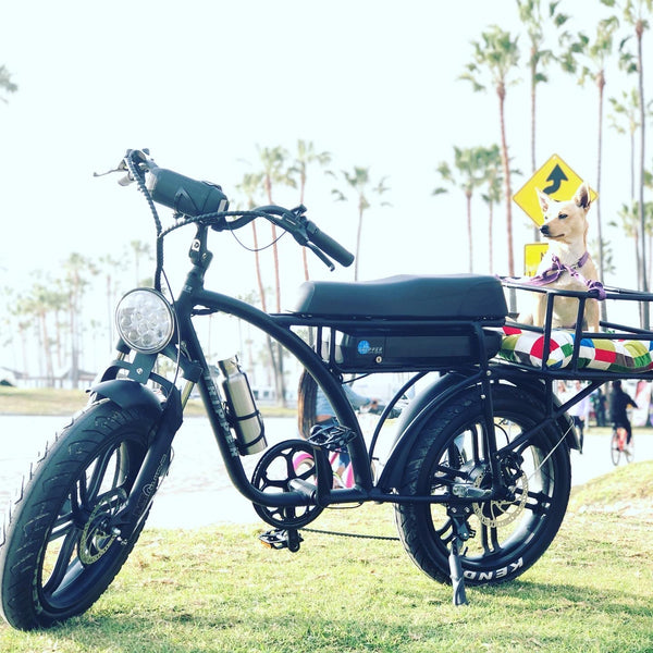 Rear Rack and Basket Set - FALCON II.