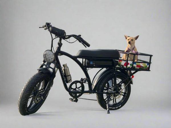 Tripper Falcon II Sport S.