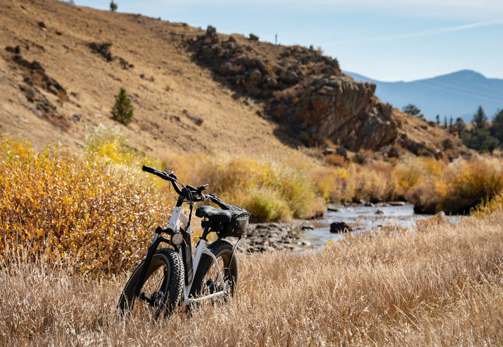 Explore the Electric Revolution: Different Types of Electric Bikes