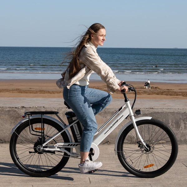26" Electric Bike for Woman, 500W Powerful Motor, 36V 13AH Removable Battery E