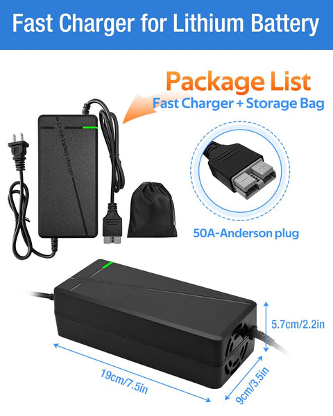 84V 5A Fast Charger with 50A-Anderson-Plug for 72V Lithium Battery, 72V Charger with Cooling System (IEC Plug)
