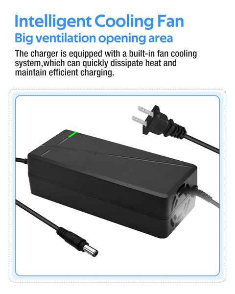 42V 3A Fast Battery Charger,DC5.5x2.1/2.5mm Plug,Not Applicable to Lead-Acid Batteries