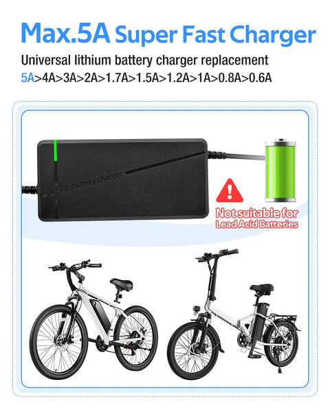 84V 5A Fast Charger with 50A-Anderson-Plug for 72V Lithium Battery, 72V Charger with Cooling System (IEC Plug)
