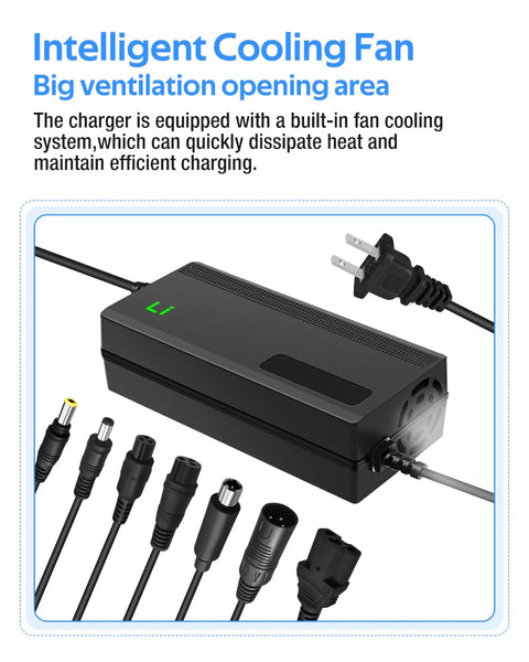 42V 3A Fast Battery Charger,DC5.5x2.1/2.5mm Plug,Not Applicable to Lead-Acid Batteries
