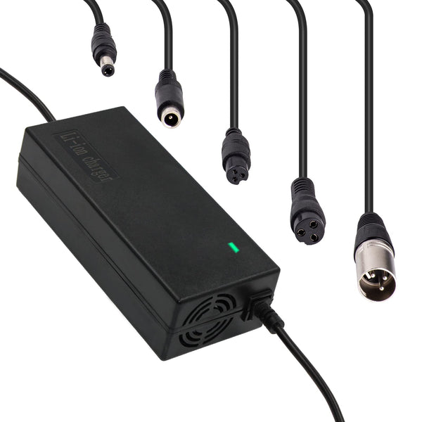 25.2V 29.4V 42V 54.6V Electric Bicycle Scooter e-Bike Battery Charger Li-ion Battery 24V 36V 48V 6S 7S 10S 13S - TRIPPER ELECTRIC BIKES