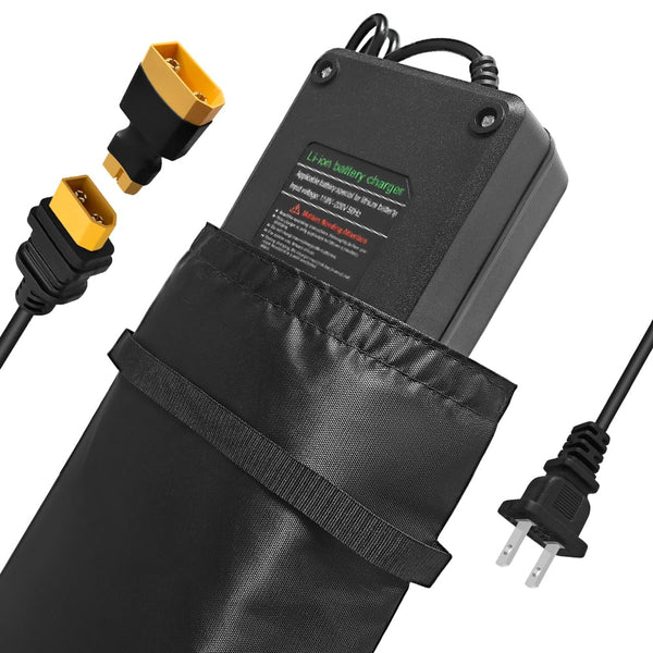 54.6V 3A / 5A Super Fast Charger for 48V Lithium Battery,No Adapter,7 Types of Plugs to Choose from, More Secure.Compatible with Most Plugs. with Cooling System (Cannon/XLR plug-3A)