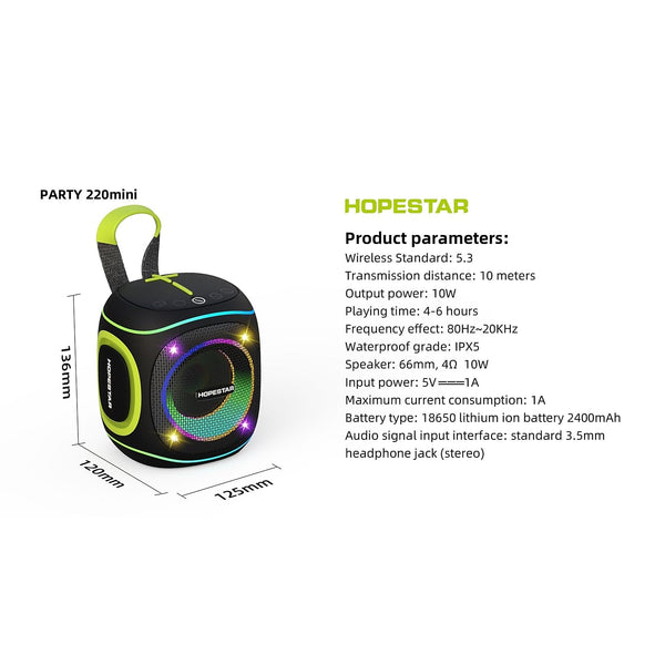 10W Portable Speaker with RGB Lights, Big Bass LED Lights, Supports TF Card/USB, AUX in, TWS for Party (Black)