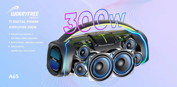 300W Portable Speaker with Handle & Microphone (Gray-WA65)