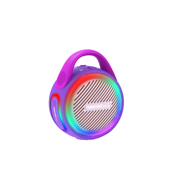 20W Portable Wireless Bluetooth Speaker with Two Microphones Mini Karaoke (Purple)