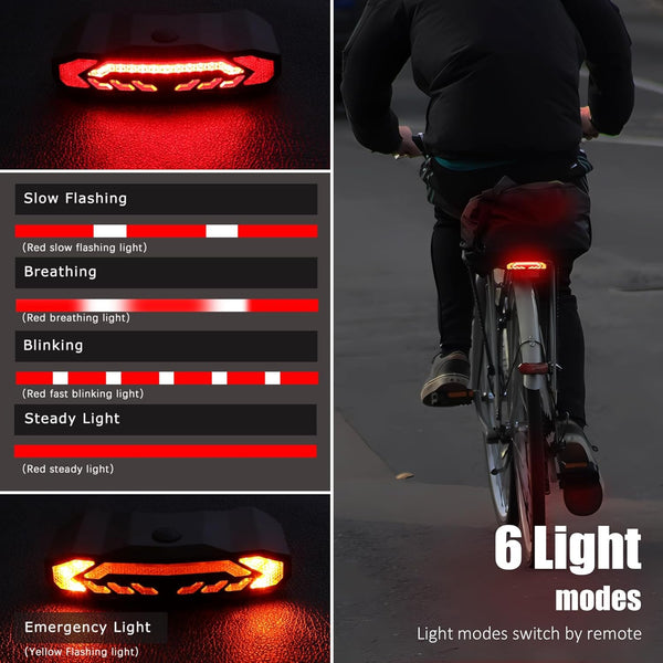 WSDCAM Smart Bike Tail Light - TRIPPER ELECTRIC BIKES