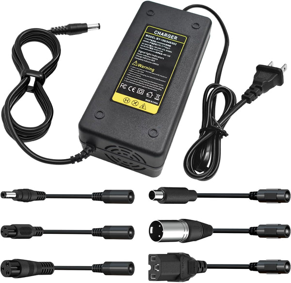 Universal 54.6V Fast Charger (48V E-Bike Batteries) - TRIPPER ELECTRIC BIKES
