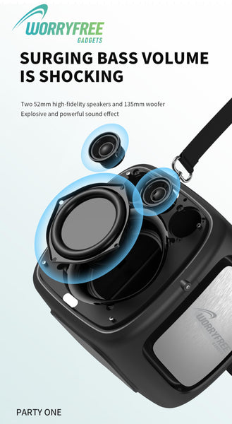 Portable Bluetooth Speaker with Two Microphones, TWS Pairing, Multicolor LED Lights, 10-12 Hours Playtime, 80W, Black