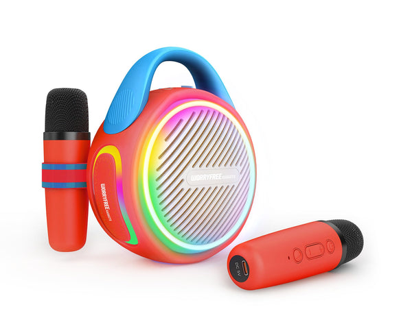 20W Portable Wireless Bluetooth Speaker with Two Microphones Mini Karaoke (Purple)