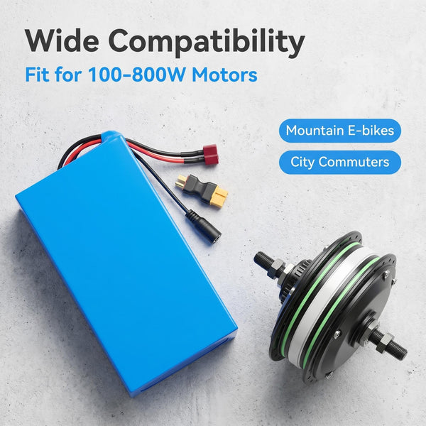 Ebike Battery 48V10Ah Lithium Battery Pack with 20A BMS, XT60 Connector for 200W-1500W Electric Bikes Scooters, ATVs, Electric Dirt Bikes(UL Certificated)