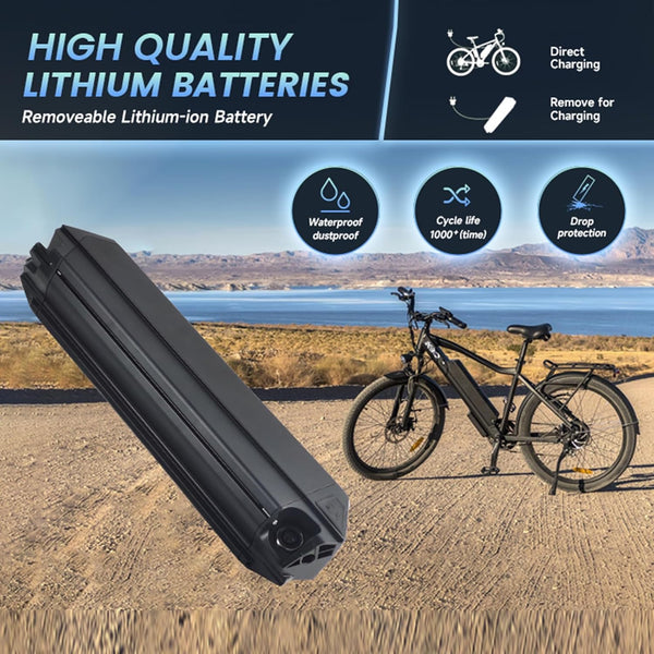 390mm Reention Dorado Replacement Battery Pack 48V 20Ah Fit for Aventon pace 500,Eahora AM100/AM200,Rambo 750XP Krusader,Pedego Element V1
