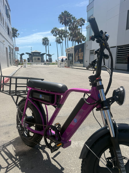 Tripper Falcon II Sport XL Premium (PURPLE OPEN BOX) (Limited Edition)