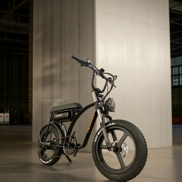 Tripper Falcon II Sport S - TRIPPER ELECTRIC BIKES