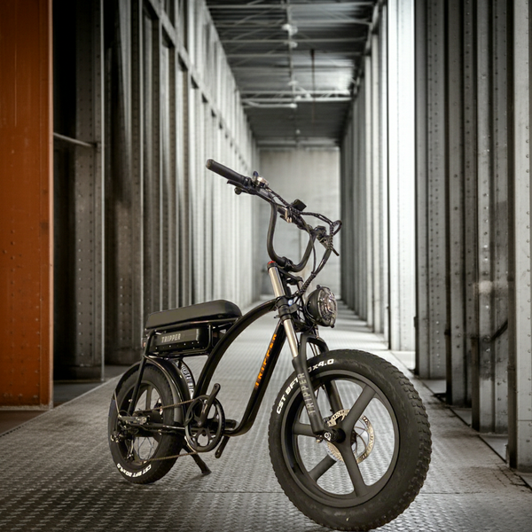 Tripper Falcon II Sport S - TRIPPER ELECTRIC BIKES