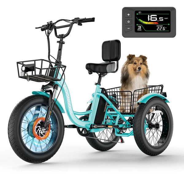 750W Motor Electric Tricycle for Adults, 7 Speed 20 X 4.0 Inch Fat Tire 3 Wheel Electric Bike, 48V Removable Battery, Motorized Trike with Carry Cargo Front & Rear Basket