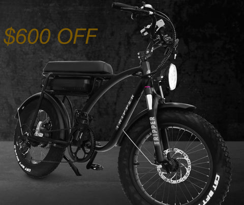 All New Tripper Falcon II  - 2 Seater Cruising Electric Bike